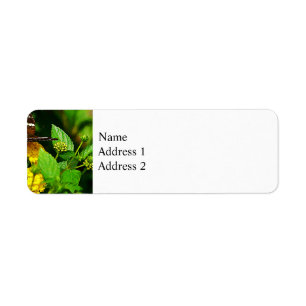 Black Butterfly on Yellow Lantana Label