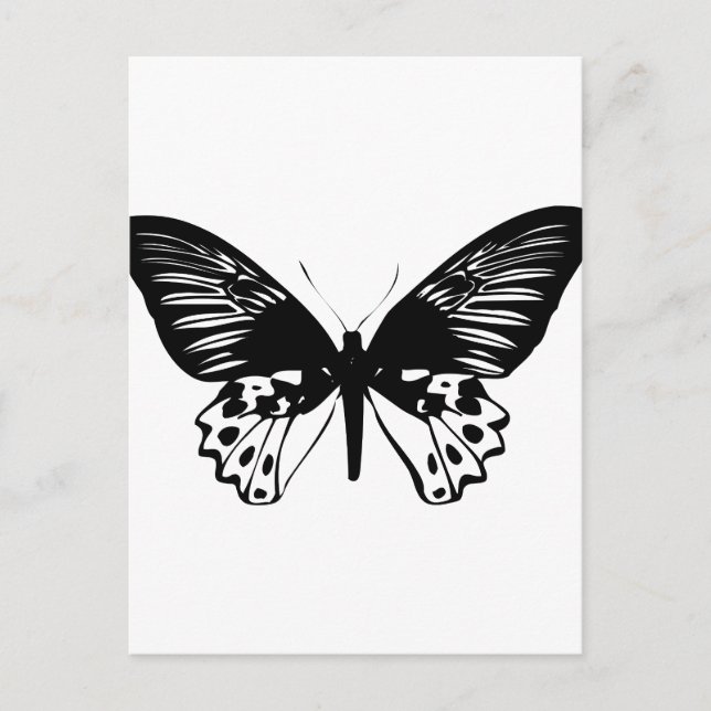 Black Butterfly Postcard (Front)