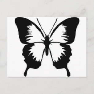 Black Butterfly Postcard