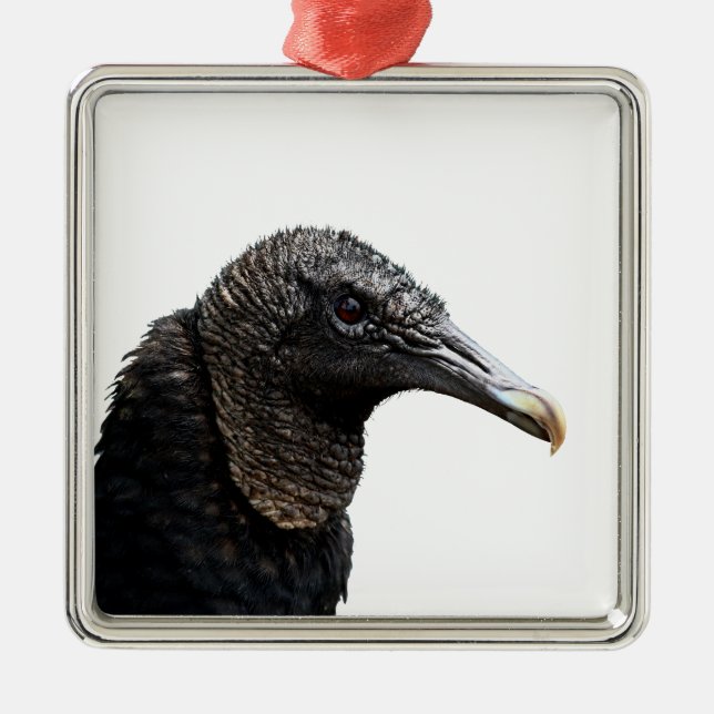 Black Buzzard Metal Ornament (Front)