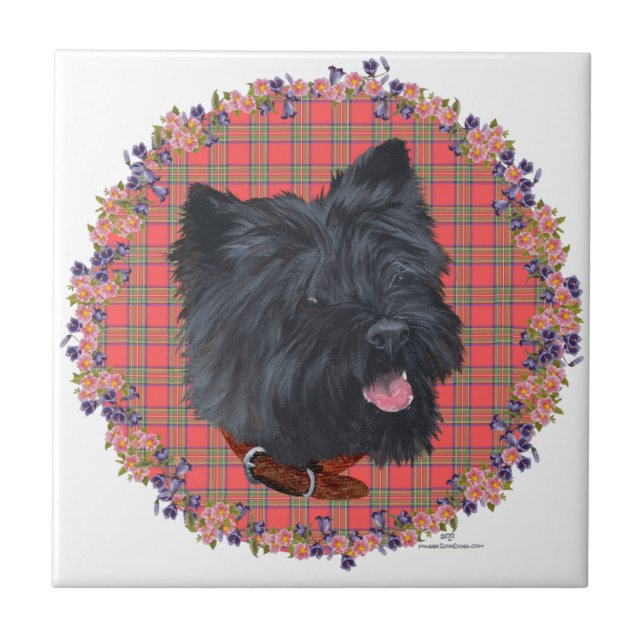 Black Cairn Head Study Ceramic Tile (Front)