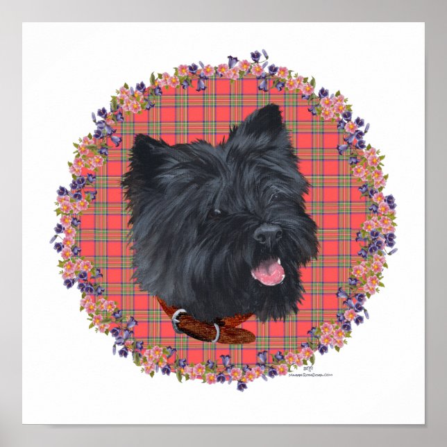 Black Cairn Head Study Poster (Front)