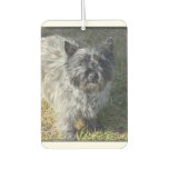 Black Cairn Terrier Car Air Freshener