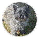 Black Cairn Terrier Ceramic Knob