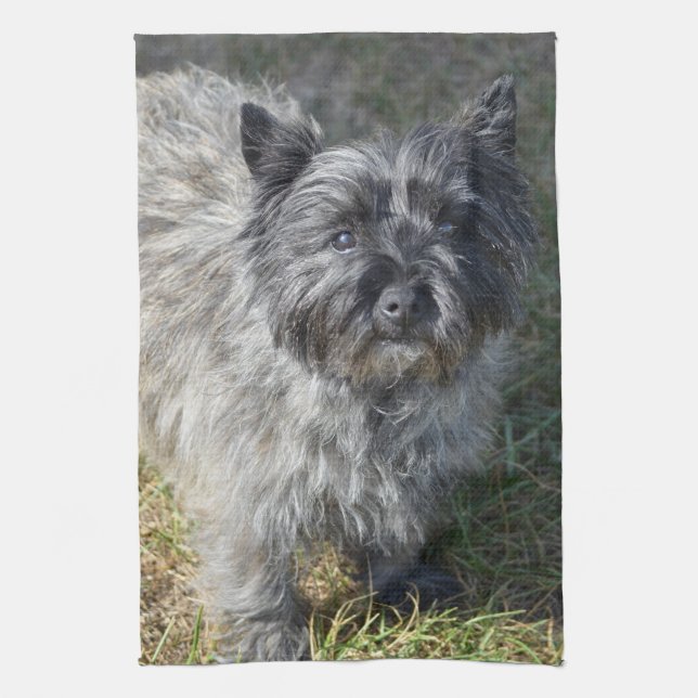 Black Cairn Terrier Kitchen Towel (Vertical)