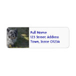 Black Cairn Terrier Label