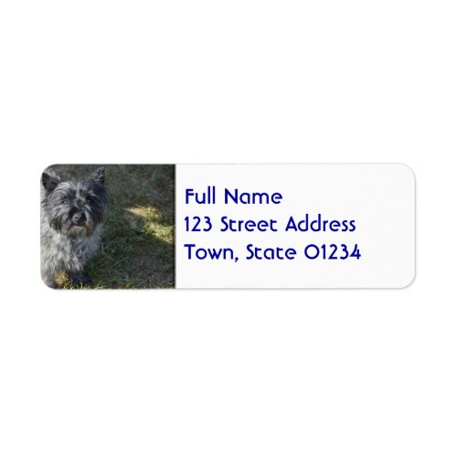 Black Cairn Terrier Label