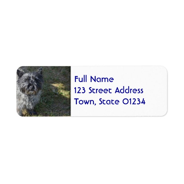 Black Cairn Terrier Label (Front)