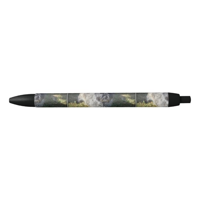 Black Cairn Terrier Pen (Front)