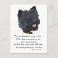 Black Cairn Terrier Rainbow Bridge