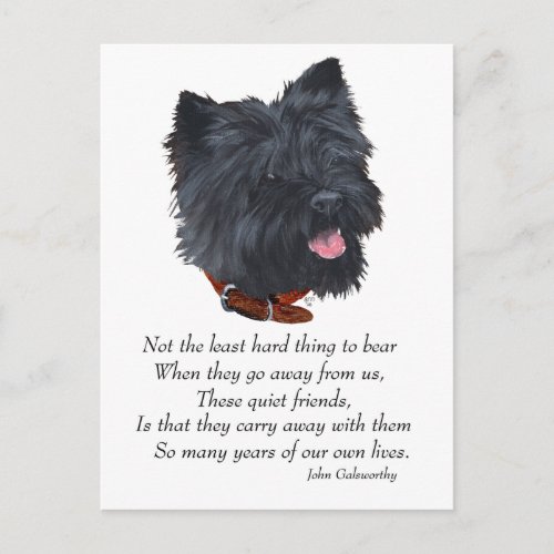 Black Cairn Terrier Rainbow Bridge Postcard