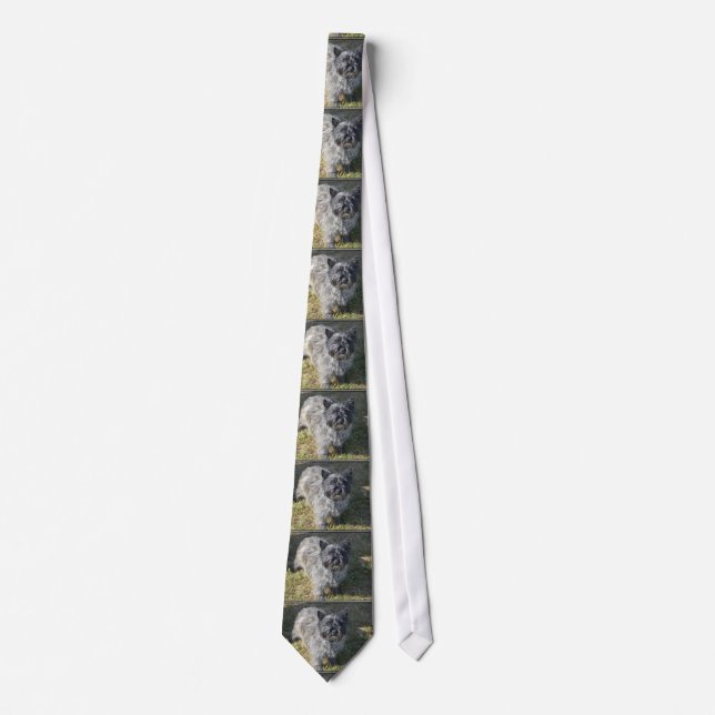 Black Cairn Terrier Tie (Front)