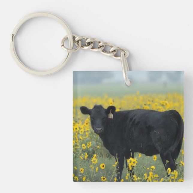 Black Calf in a Field of Sunflowers Keychain (Front)