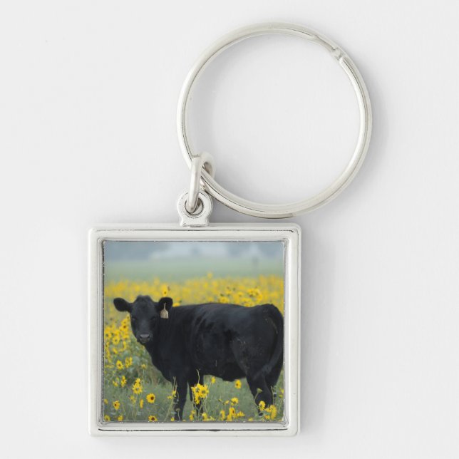 Black Calf in a Field of Sunflowers Keychain (Front)