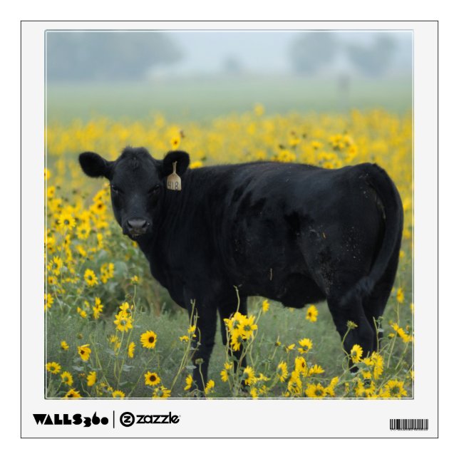 Black Calf in a Field of Sunflowers Wall Decal (Front)