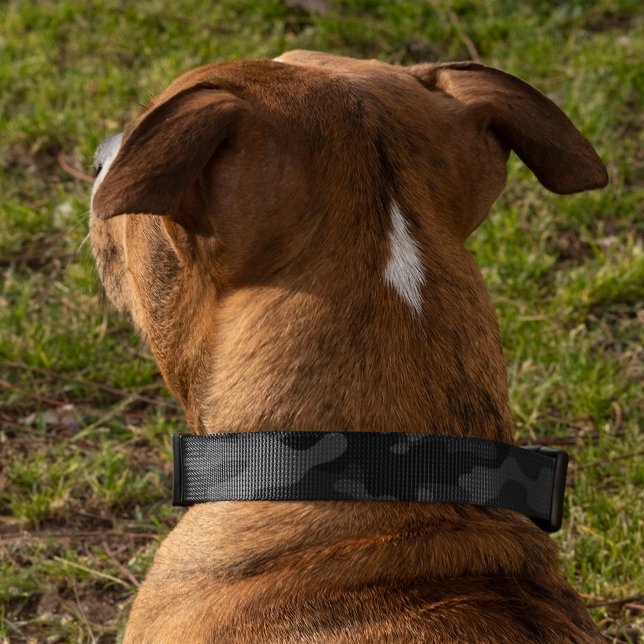Black Camo Pattern Dog Pet Collar (Creator Uploaded)
