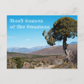 Black Canyon of the Gunnison National Park Postcard