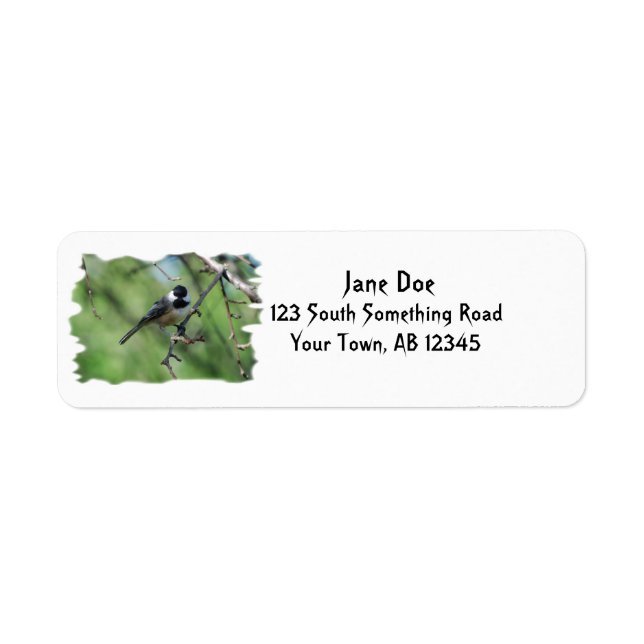 Black-capped Chickadee address label (Front)