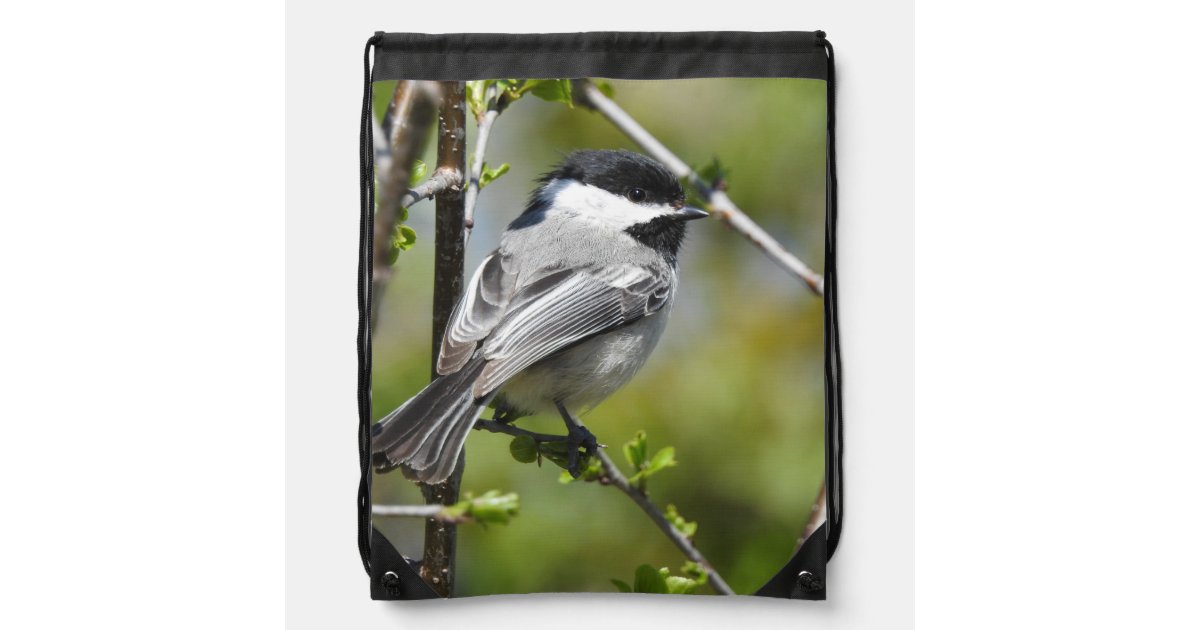 Chickadee Backpack