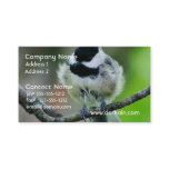Black Capped Chickadee Bird Business Card