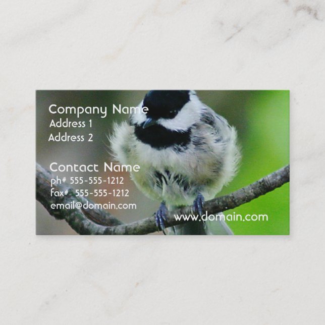 Black Capped Chickadee Bird Business Card (Front)