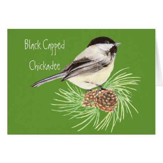 Black Capped Chickadee - Bird - Nature Cards (Front Horizontal)
