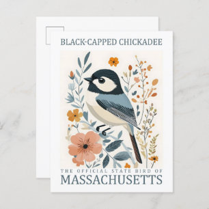 Black Capped Chickadee Bird of Massachusetts USA Postcard