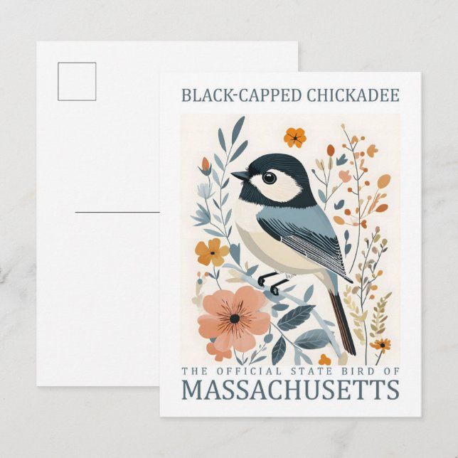 Black Capped Chickadee Bird of Massachusetts USA Postcard (Front/Back)