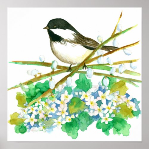 Black Capped Chickadee Bird Watercolor Poster