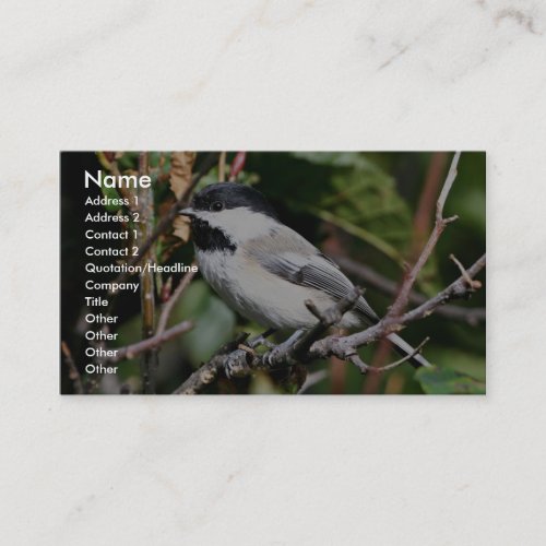 Black-capped chickadee business card