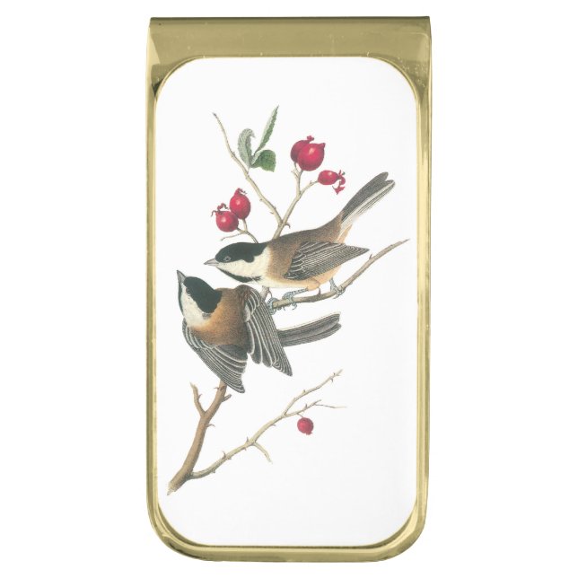 Black-capped Chickadee by Audubon Gold Finish Money Clip (Front Vertical)