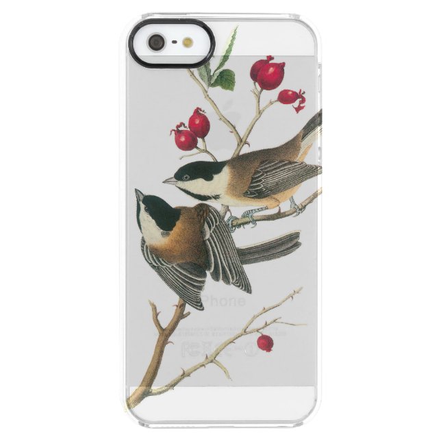 Black-capped Chickadee by Audubon Uncommon iPhone Case (Back)