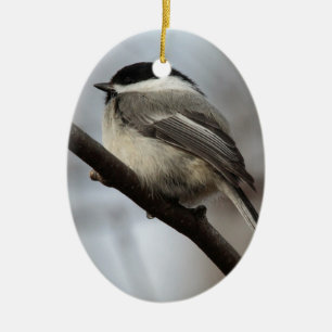 Black Capped Chickadee Ceramic Ornament
