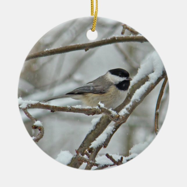 Black Capped Chickadee Christmas Ornament (Front)