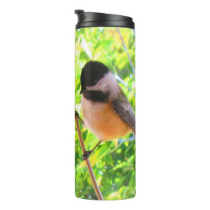 Black Capped Chickadee Cute Songbird Thermal Tumbler