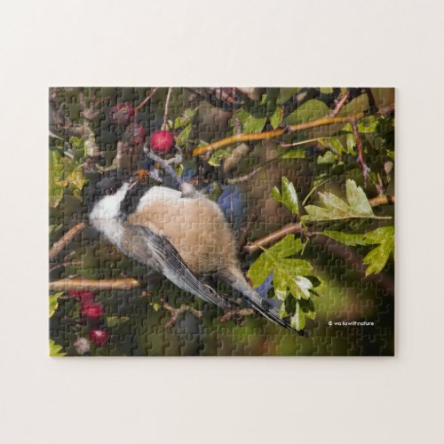 Black_Capped Chickadee Enjoying Autumn Berries Jigsaw Puzzle