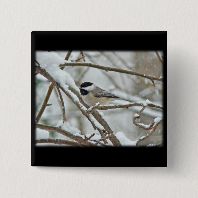 Black-Capped Chickadee in Snow Storm Button (Front)