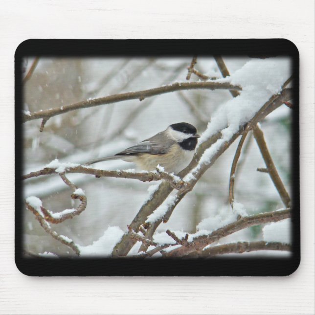Black-Capped Chickadee in Snow Storm Mouse Pad (Front)