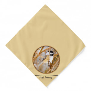 Black-Capped Chickadee in Winter Original Photo Bandana