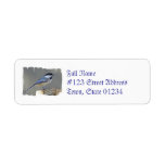 Black Capped Chickadee Mailing Labels