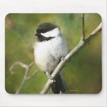 Black Capped Chickadee Mouse Pad by William63 at Zazzle