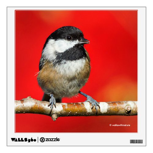 Black_Capped Chickadee on Autumn Red Background Wall Sticker