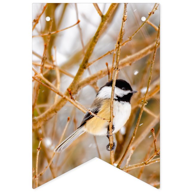 Black-Capped Chickadee - Original Photograph Bunting Flags (First Flag)