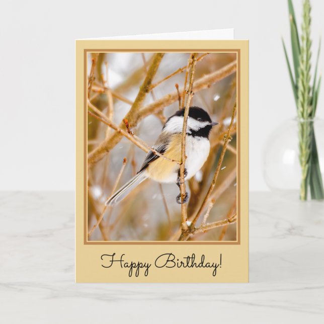 Black-Capped Chickadee - Original Photograph Card (Front)