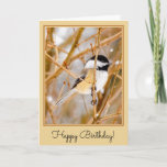 Black-Capped Chickadee - Original Photograph Card