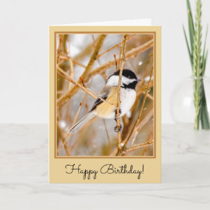 Black-Capped Chickadee - Original Photograph Card