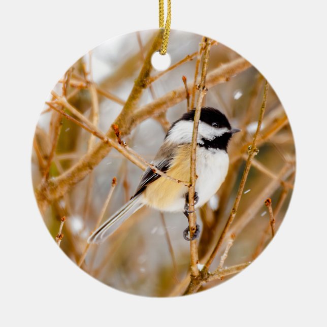 Black-Capped Chickadee - Original Photograph Ceramic Ornament (Front)
