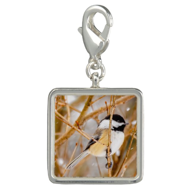Black-Capped Chickadee - Original Photograph Charm (Front)