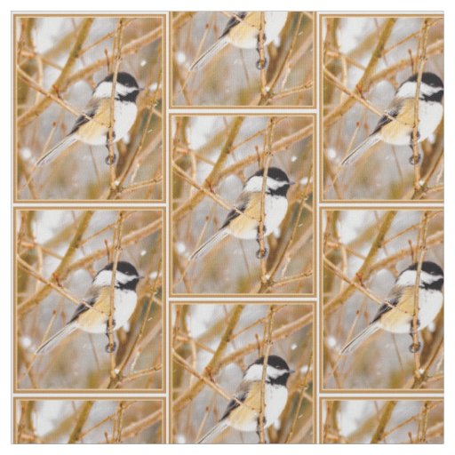 Black-Capped Chickadee - Original Photograph Fabric