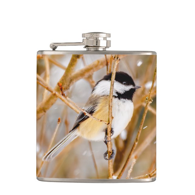 Black-Capped Chickadee - Original Photograph Flask (Front)
